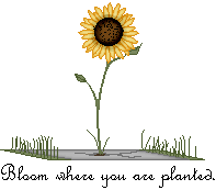 Bloom where you are planted.